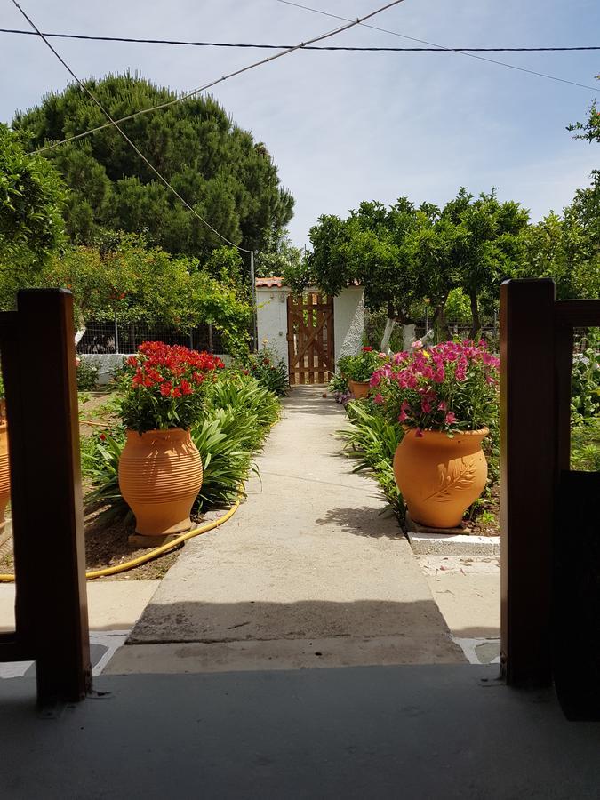 Aparthotel Asimina'S House Skiathos Exteriér fotografie